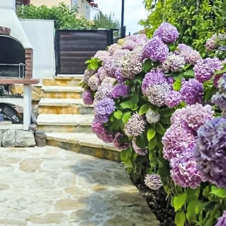 Rustica Mit Exklusiver Nutzung Des Pool By Interhome 아파트 자다르