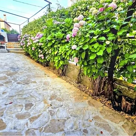 Rustica Mit Exklusiver Nutzung Des Pool By Interhome 아파트 자다르